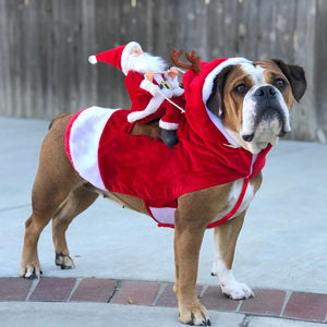 Cute Pet Dog Christmas Clothes