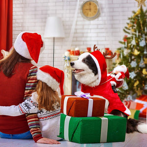 Cute Pet Dog Christmas Clothes
