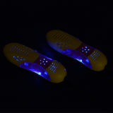 Electric Shoe Dryer for Winter and Rainy Seasons